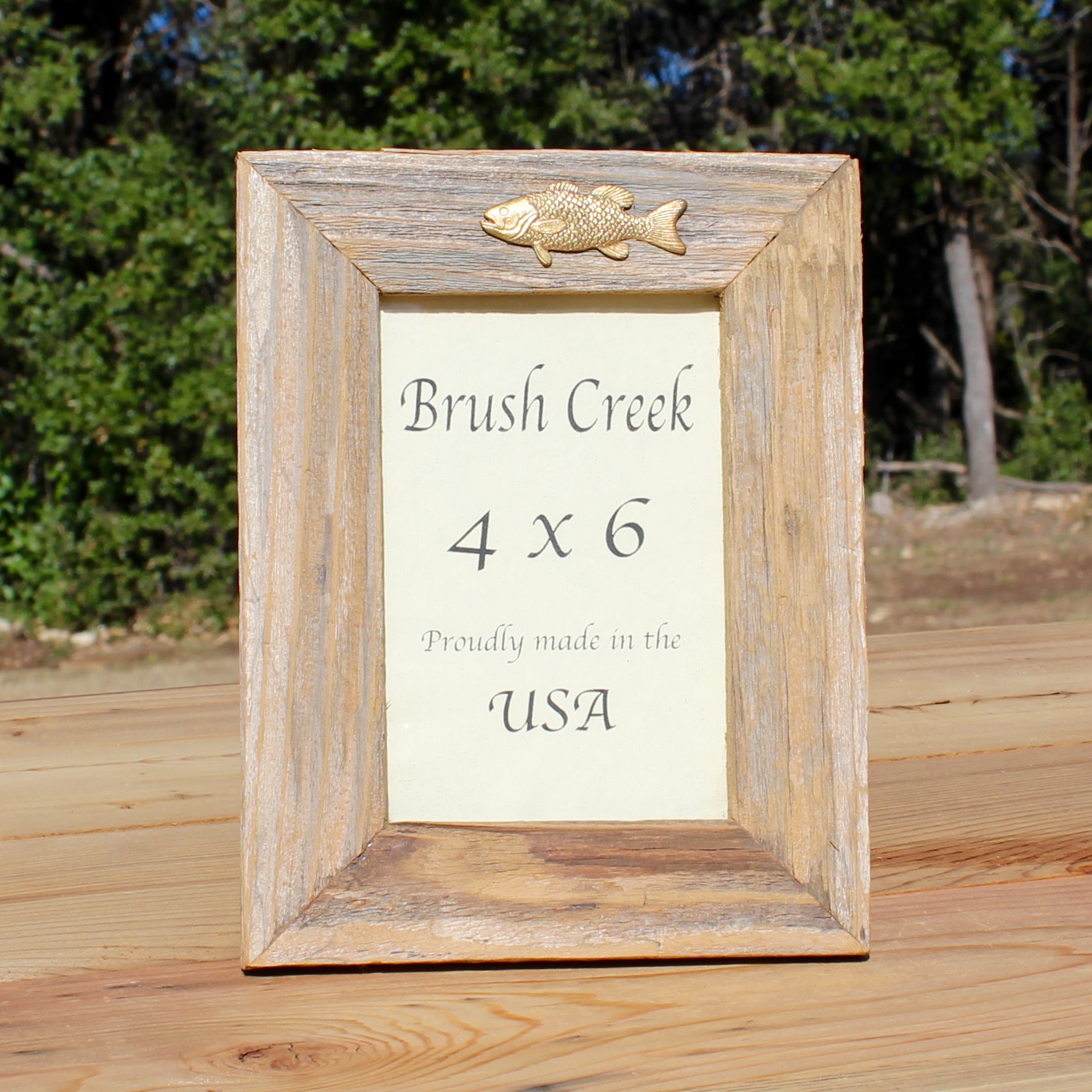 Frame with Fish Icon