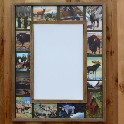 Wild Life Collage Mirror