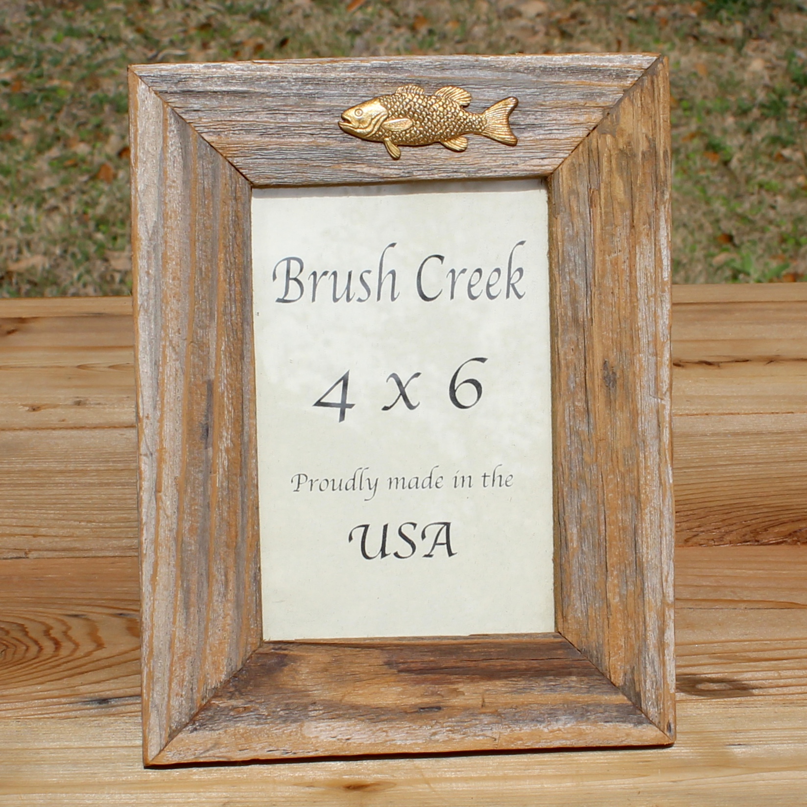 Frame with Fish Icon